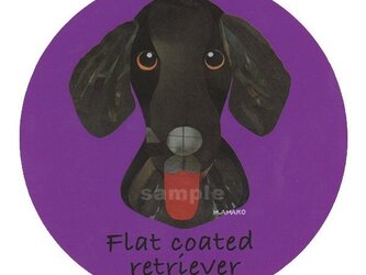 フラット コーテッド レトリバー《犬種名ステッカー/大型犬》の画像