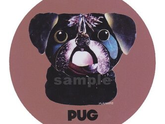 パグ/黒《犬種名ステッカー/小型犬》の画像