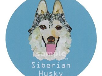 シベリアン ハスキー/シルバー２《犬種名ステッカー/中型犬》の画像