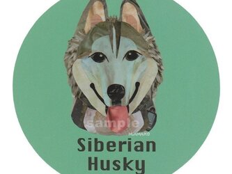 シベリアン ハスキー/シルバー１《犬種名ステッカー/中型犬》の画像