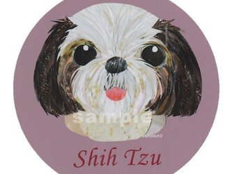 シーズー《犬種名ステッカー/小型犬》の画像