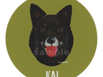 甲斐犬《犬種名ステッカー/中型犬》の画像