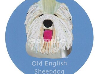 オールドイングリッシュシープドッグ《犬種名ステッカー/大型犬》の画像