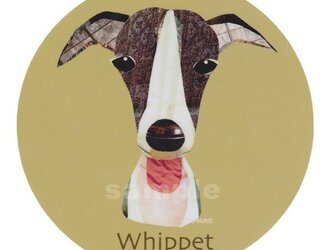 ウィペット《犬種名ステッカー/中型犬》の画像