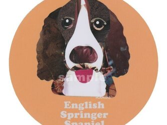 イングリッシュスプリンガースパニエル《犬種名ステッカー/中型犬》の画像