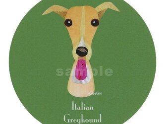 イタリアン グレーハウンド/フォーン《犬種名ステッカー/小型犬》の画像