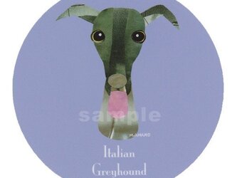 イタリアン グレーハウンド《犬種名ステッカー/小型犬》の画像