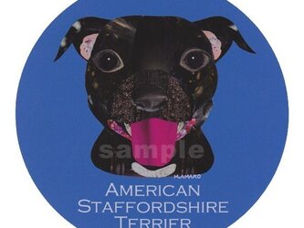 アメリカンスタッフォードシャーブルテリア《犬ステッカー/中型犬》の画像