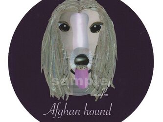 アフガン ハウンド《犬種名ステッカー/大型犬》の画像