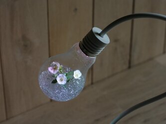 bulb terrarium colorの画像