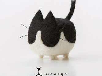 woonya【hachiware】の画像