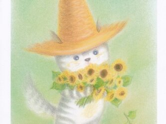 麦藁帽子をかぶった猫　ひまわりの画像