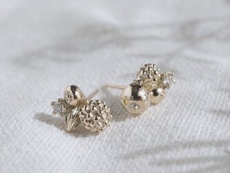 Berry earrings [EP006K10]の画像