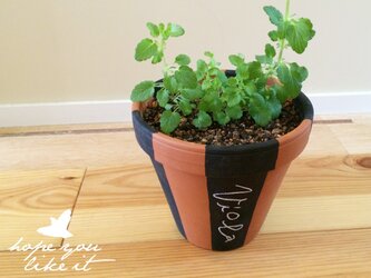 黒板ペイント植木鉢_design2の画像
