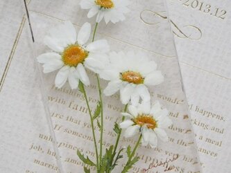 iphone6・5/5s・5c・4/4s押し花ケース【#１36】の画像