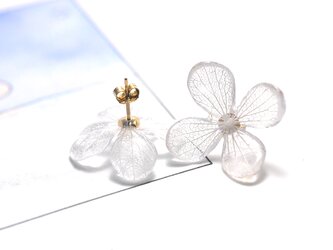 アジサイ【L/オフカラー】4枚花弁のピアス 14kgf /イヤリングの画像