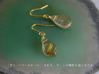 レッドルチル ピアスの画像