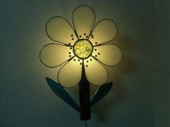 お花のライトの画像
