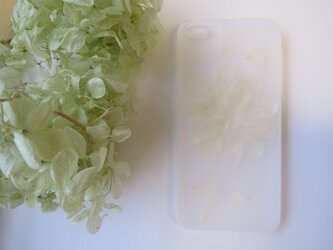 iPhone5 5s ホワイトフラワー アジサイ 半透明の画像