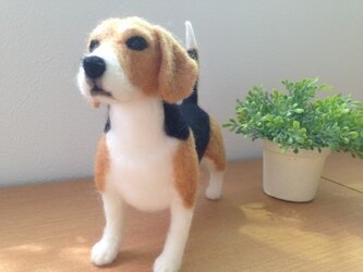 ビーグル犬ｂ＊羊毛フェルト＊　の画像