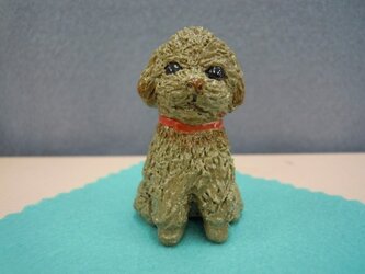 いぬ「ﾜﾝワン！」の画像
