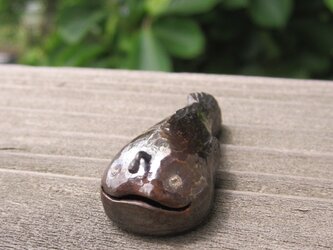 あんこう（淡いレモン色の目）の画像