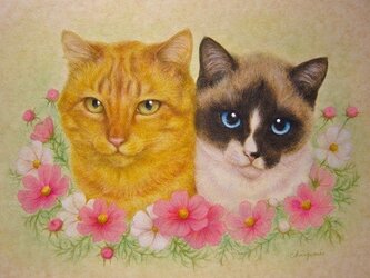 チャロ君とミミちゃん（売約済み）の画像