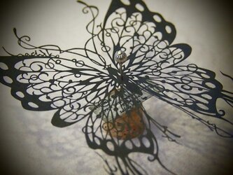 切り絵蝶の標本（N様オーダー品）の画像