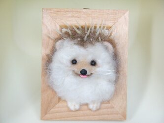 ハリネズミ　フレームの画像