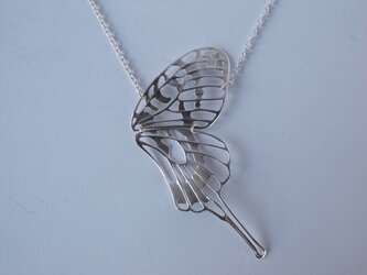 dlicate air NL swallowtail(half)の画像
