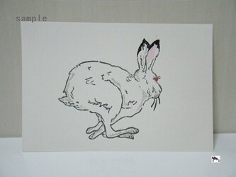 葉書〈Rabbit－1（白）〉の画像