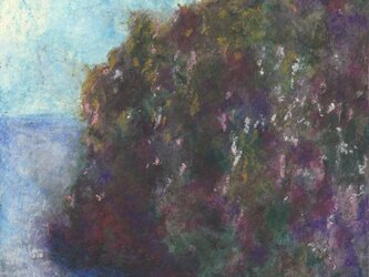 光景415の画像