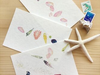 海がくれたもの vol.2＊再販　〜貝殻のカード 桜貝他の画像