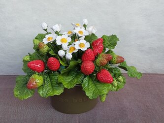 イチゴ（緑ココット）の画像