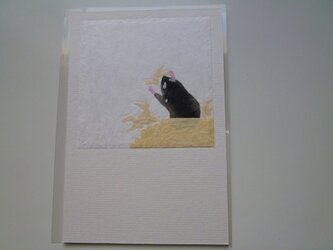 ハムスターの冬の巣作り（ポストカード）の画像