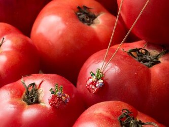 『野菜モチーフのアクセサリー/ネックレス 』 tomatoの画像