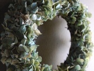 夏の紫陽花リースの画像