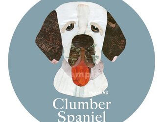 クランバー スパニエル《犬種名ステッカー/中型犬》の画像