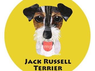ジャック ラッセル テリア／トライ／ラフ《犬ステッカー/小型犬》の画像