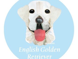 英国ゴールデン・レトリバー《犬種名ステッカー/大型犬》の画像