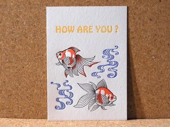 レタープレスカード金魚/3枚セットの画像