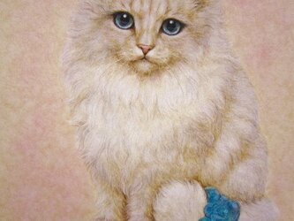 シュシュに恋しての画像