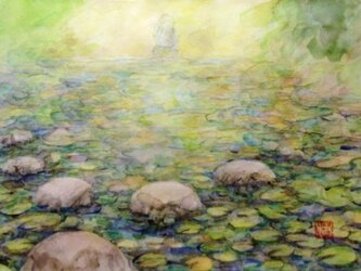 「睡蓮」の画像