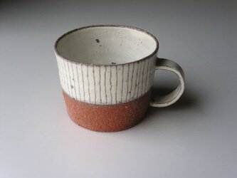 線紋まぐかっぷの画像