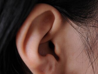 アレルギーフリー直立コインパールピアス”オンライン限定”の画像