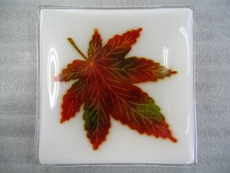 秋のガラス皿　ＳＤ３９３の画像