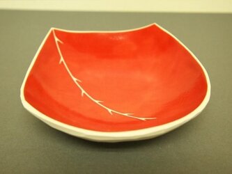 red small plate (ibara)の画像