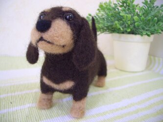 ミニチュアダックス子犬＊羊毛フェルトの画像
