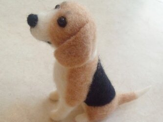 ビーグル犬＊羊毛フェルトの画像