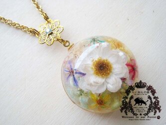 本物のお花のミルフィオリ風ネックレスの画像